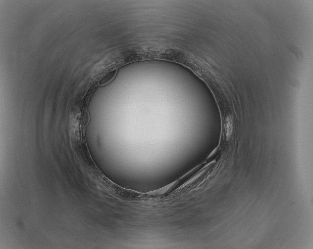 X0000115251059200911131720