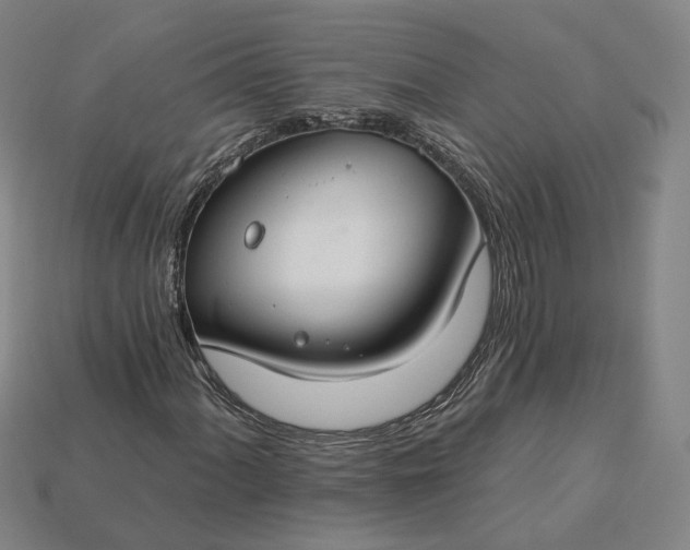 X0000115251060200911131720