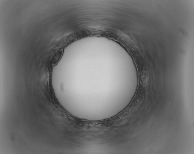 X0000115251061200911131720