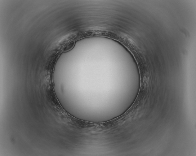 X0000115251062200911131720