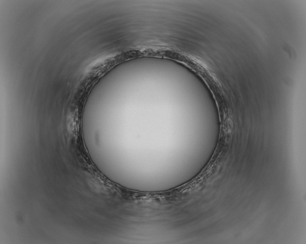 X0000115251063200911131720