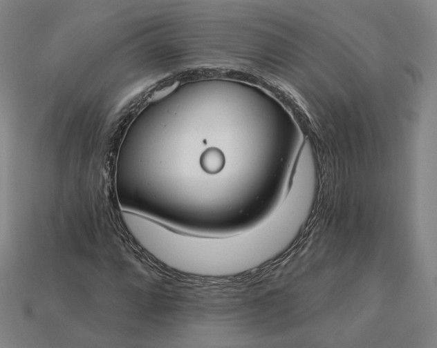 X0000115251064200911131720