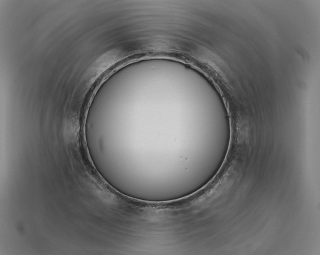 X0000115251065200911131720