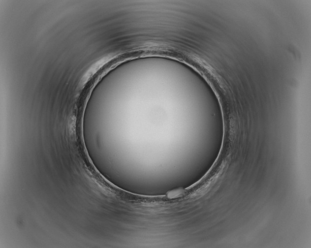 X0000115251066200911131720