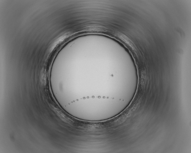 X0000115251067200911131720