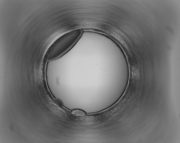 X0000115251068200911131720