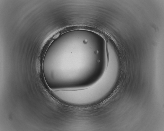 X0000115251069200911131720