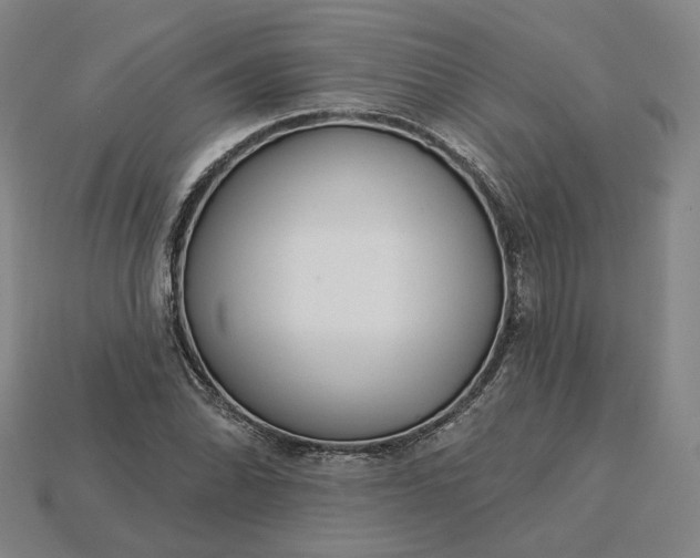 X0000115251070200911131720