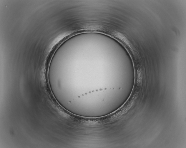 X0000115251071200911131720