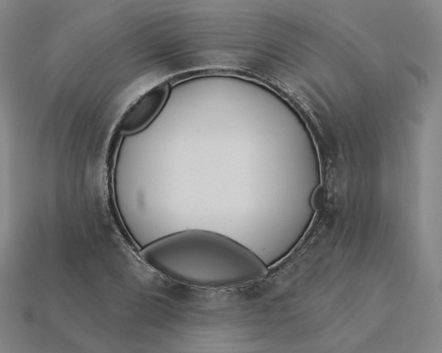 X0000115251072200911131720