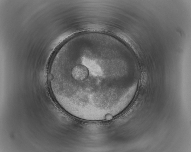 X0000115251074200911131719