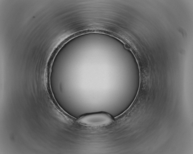 X0000115251076200911131719