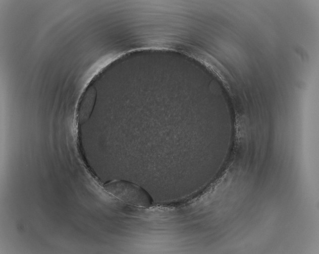 X0000115251077200911131719