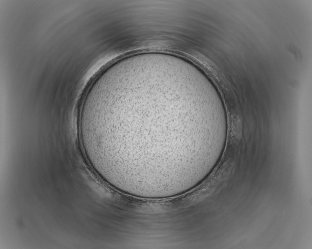 X0000115251078200911131719