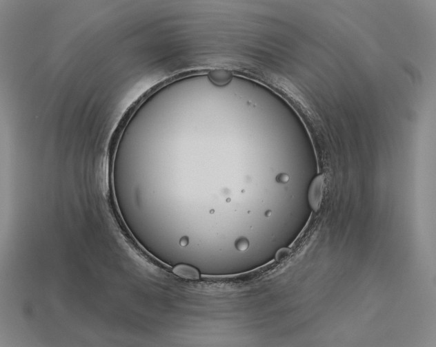 X0000115251079200911131719