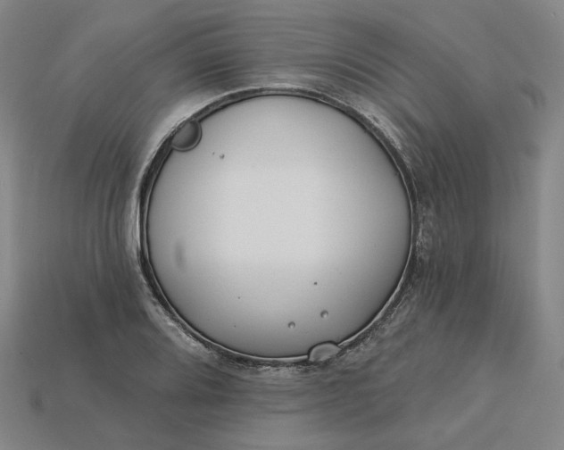 X0000115251080200911131719