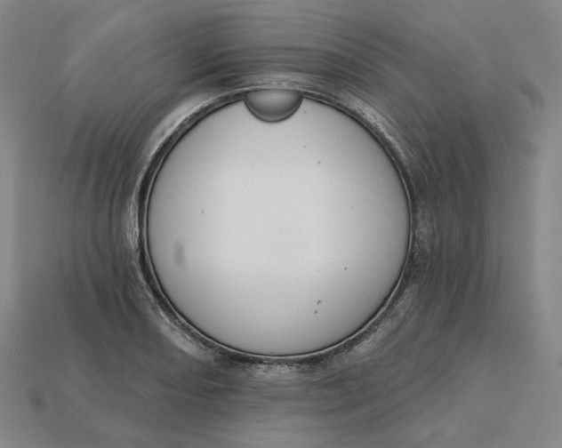 X0000115251082200911131719