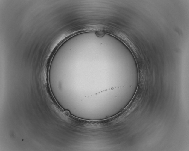 X0000115251083200911131719