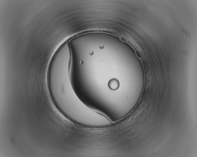 X0000115251084200911131719