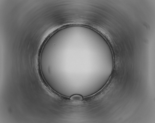 X0000115251085200911131719