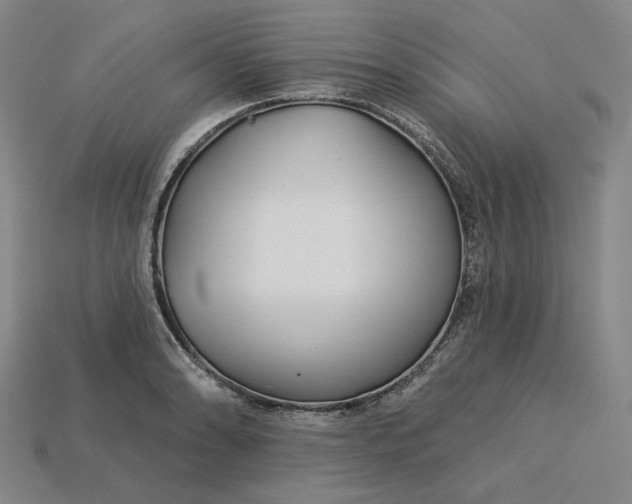 X0000115251086200911131719