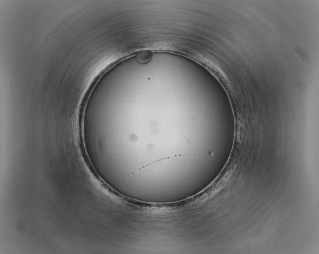 X0000115251087200911131719