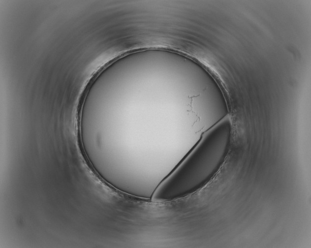 X0000115251088200911131719