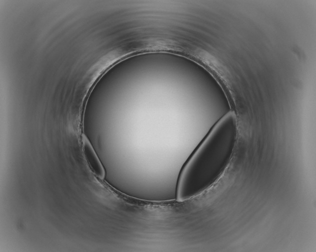 X0000115251089200911131719