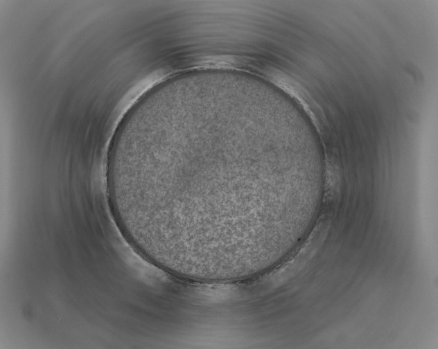 X0000115251090200911131719