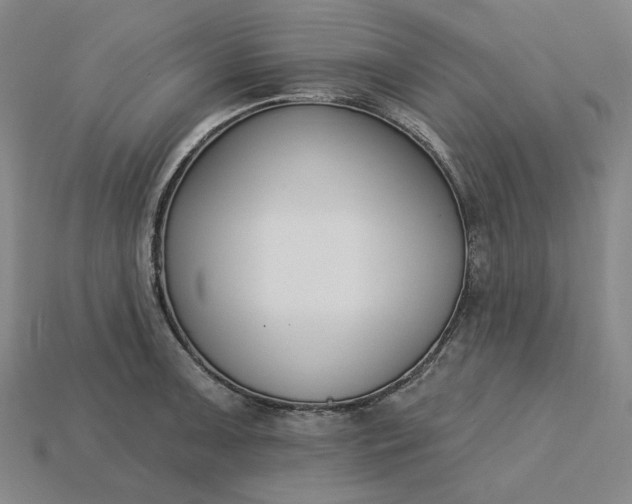 X0000115251091200911131719