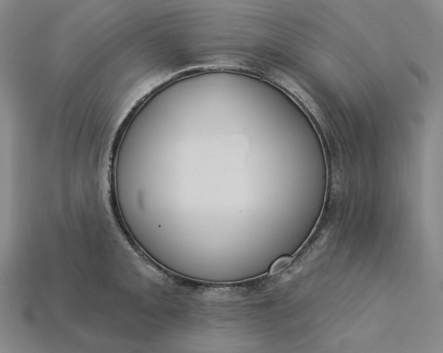 X0000115251093200911131719