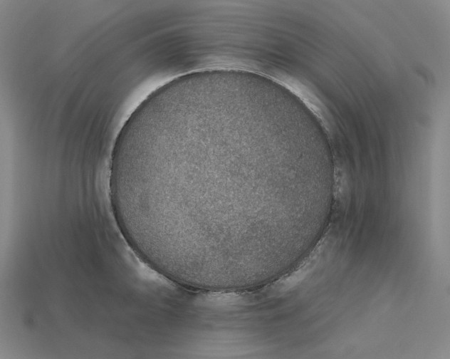 X0000115251094200911131719