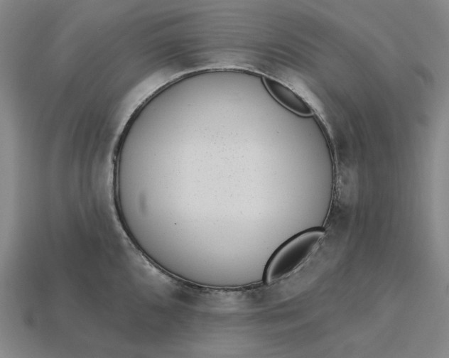 X0000115251096200911131719