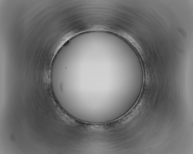 X0000115251097200911131719