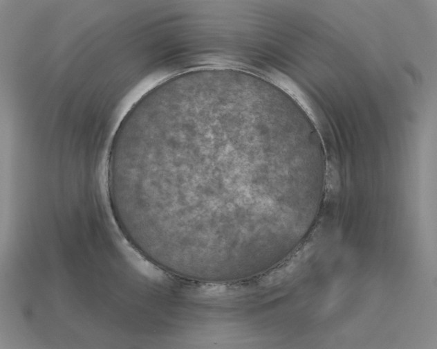 X0000115251098200911131719