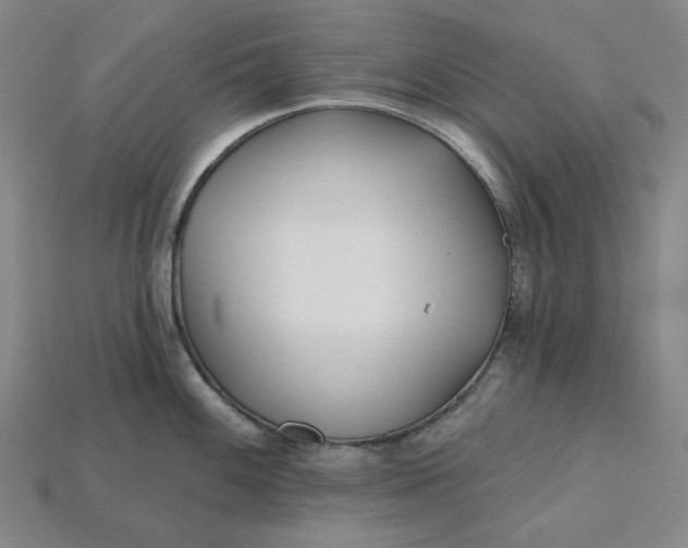 X0000115251100200911131719