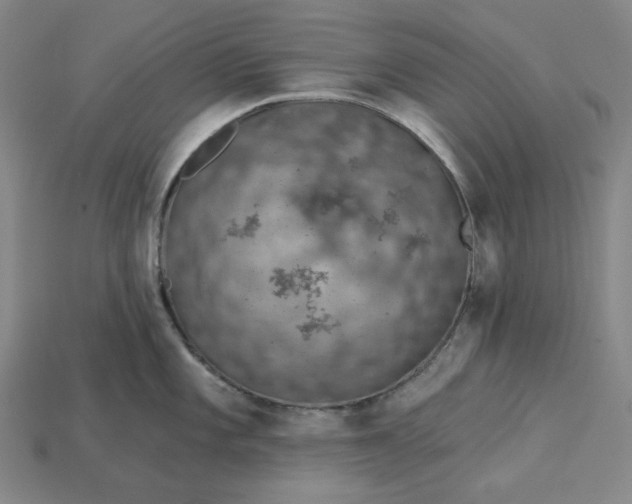 X0000115251101200911131719