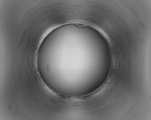 X0000115251102200911131719