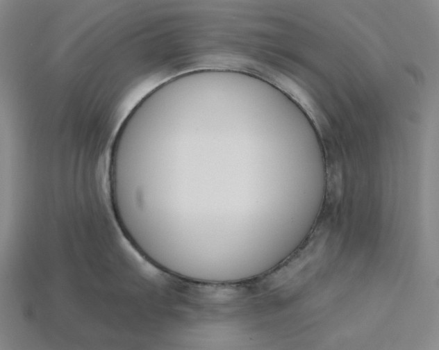 X0000115251103200911131719