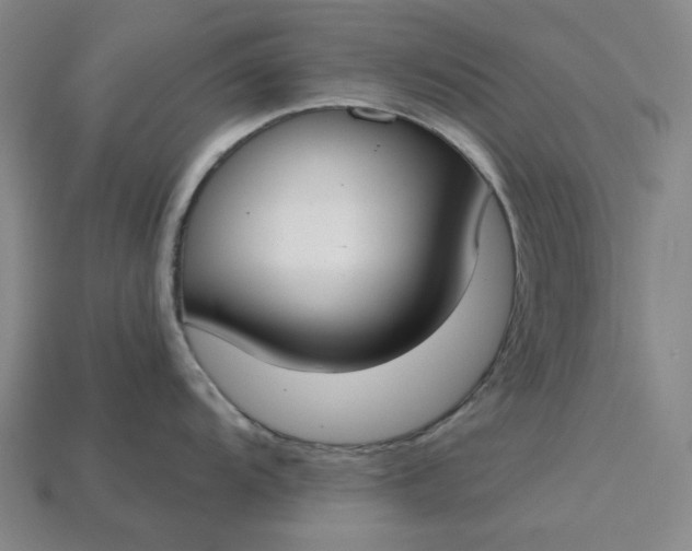 X0000115251104200911131719