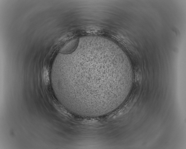 X0000115251106200911131718