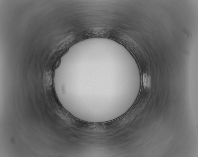 X0000115251107200911131719