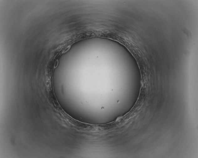 X0000115251109200911131719