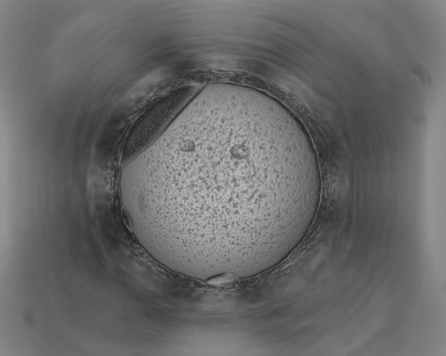 X0000115251110200911131719