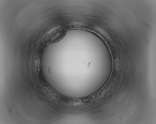 X0000115251111200911131719