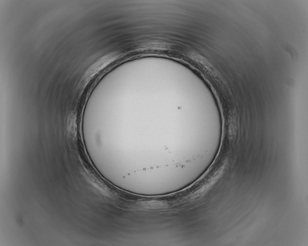 X0000115251113200911131719