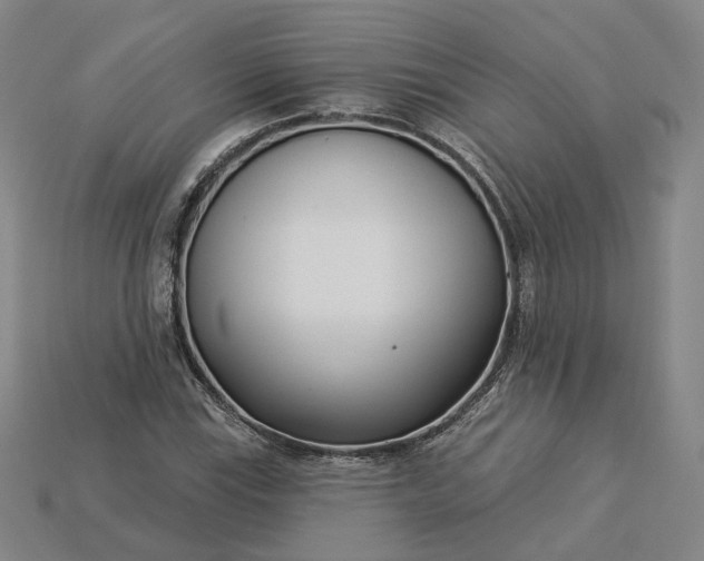 X0000115251115200911131719