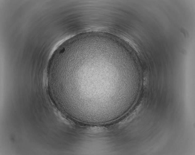 X0000115251117200911131719