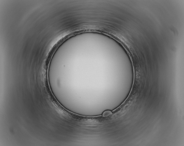 X0000115251119200911131719