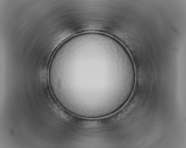 X0000115251121200911131719